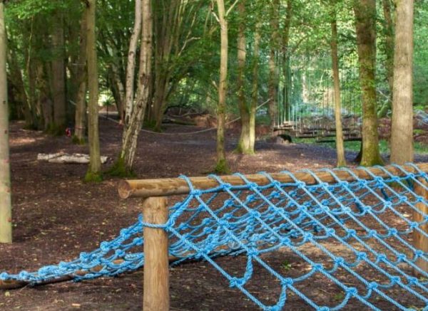 What's the Difference Between High Ropes and Low Ropes Courses ...